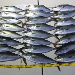 Hit Rush(ヒット ラッシュ） 釣果