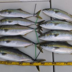 Hit Rush(ヒット ラッシュ） 釣果