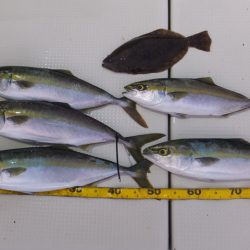 Hit Rush(ヒット ラッシュ） 釣果