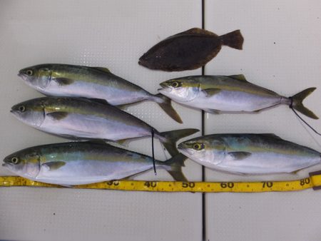 Hit Rush(ヒット ラッシュ） 釣果…