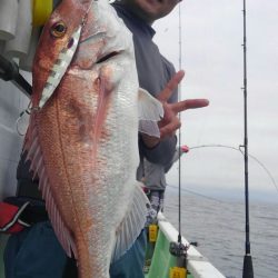 遊漁船 新鋭丸 釣果