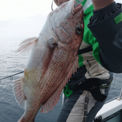 遊漁船ブルーウッズ 釣果