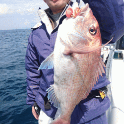 遊漁船ブルーウッズ 釣果