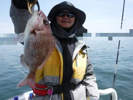 遊漁船 幸友丸 釣果