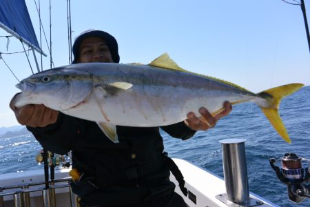 ジギング船 BLUEWATER 釣果