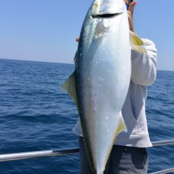 ジギング船 BLUEWATER 釣果