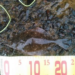 ちっちゃいなあ。