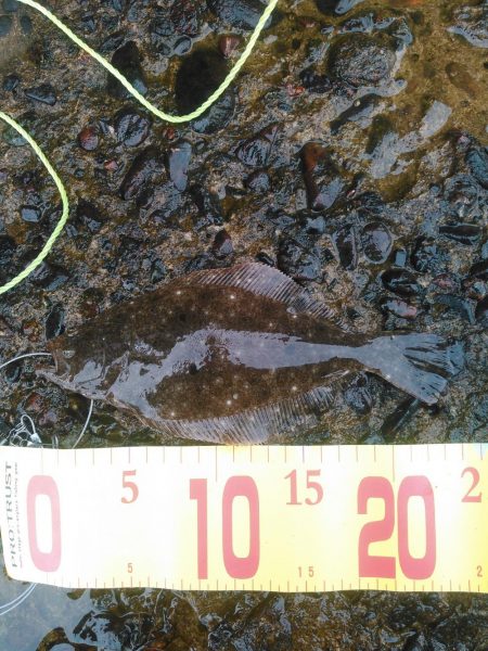 ちっちゃいなあ。