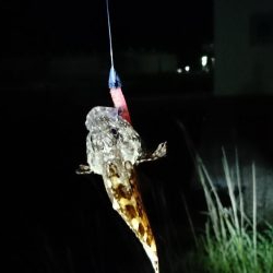 サイズアップ？