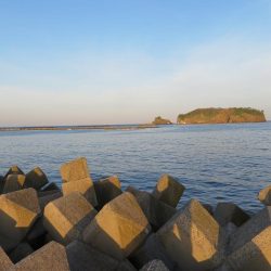 狙いのメバルはもう一つ