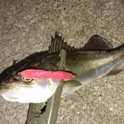 スローに誘って