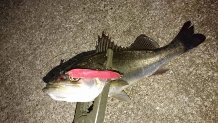 スローに誘って