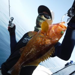 ＢｌｕｅＮｏｔｅ　Ｆｉｓｈｉｎｇ　Ｔａｘｉ 釣果