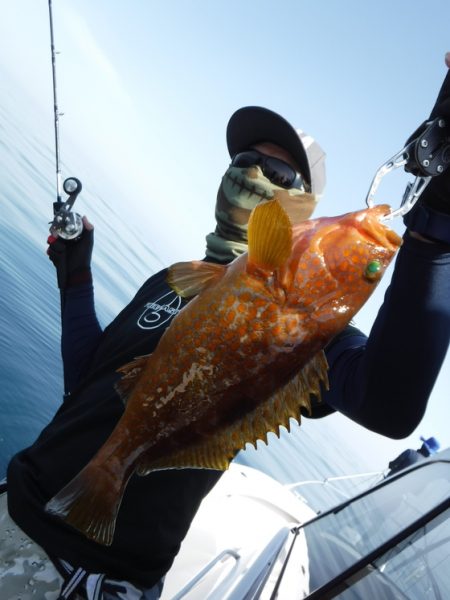 ＢｌｕｅＮｏｔｅ　Ｆｉｓｈｉｎｇ　Ｔａｘｉ 釣果