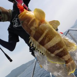 ＢｌｕｅＮｏｔｅ　Ｆｉｓｈｉｎｇ　Ｔａｘｉ 釣果