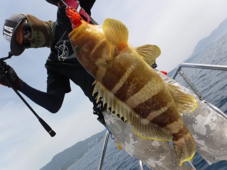 ＢｌｕｅＮｏｔｅ　Ｆｉｓｈｉｎｇ　Ｔａｘｉ 釣果