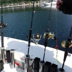 ＢｌｕｅＮｏｔｅ　Ｆｉｓｈｉｎｇ　Ｔａｘｉ 釣果