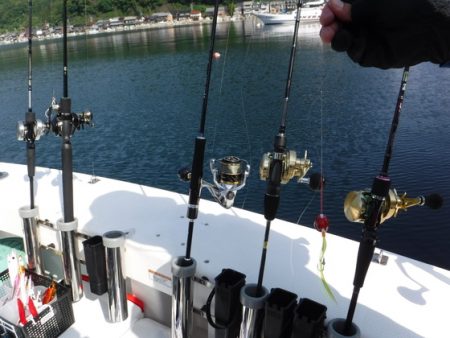 ＢｌｕｅＮｏｔｅ　Ｆｉｓｈｉｎｇ　Ｔａｘｉ 釣果