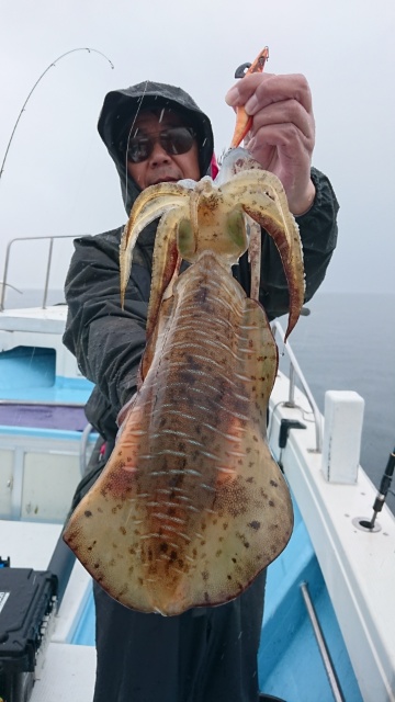 海晴丸 釣果