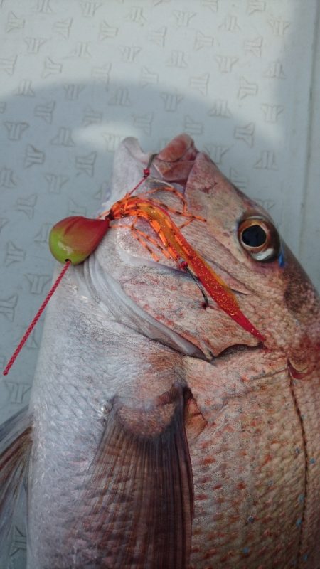 遊漁船ブルーウッズ 釣果