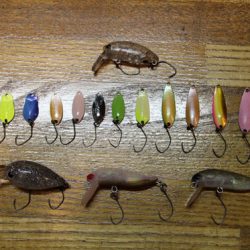 小菅トラウトガーデン 釣果