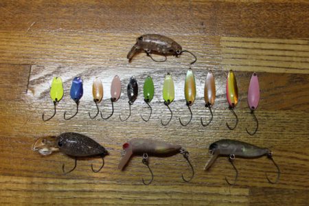 小菅トラウトガーデン 釣果