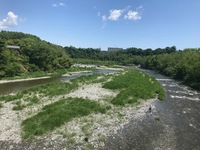 秩父フライフィールド 釣果