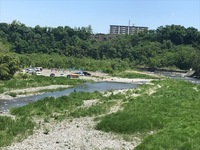 秩父フライフィールド 釣果