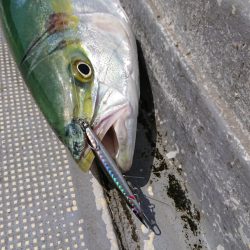 FISHING RISKY 釣果