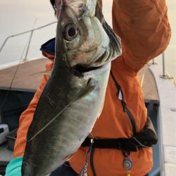 あみや渡船 JIGBOY 釣果