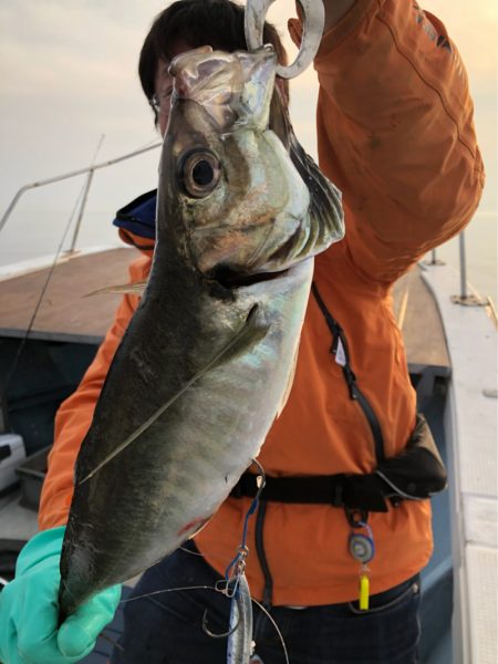 あみや渡船 JIGBOY 釣果
