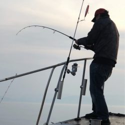 あみや渡船 JIGBOY 釣果