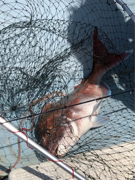 あみや渡船 JIGBOY 釣果