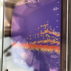 あみや渡船 JIGBOY 釣果