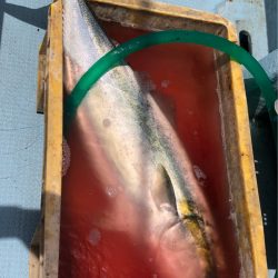 あみや渡船 JIGBOY 釣果