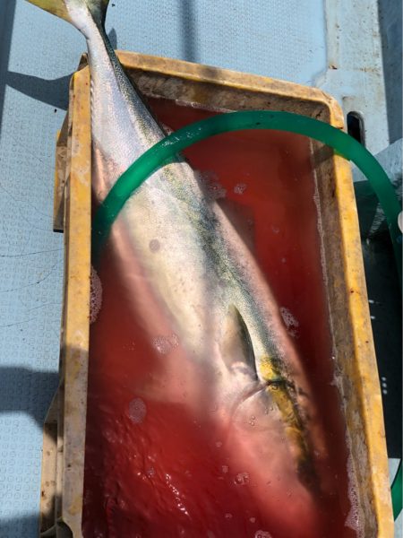 あみや渡船 JIGBOY 釣果