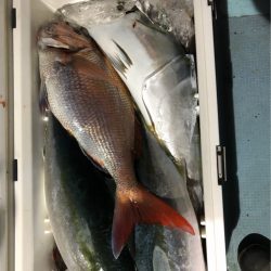 あみや渡船 JIGBOY 釣果