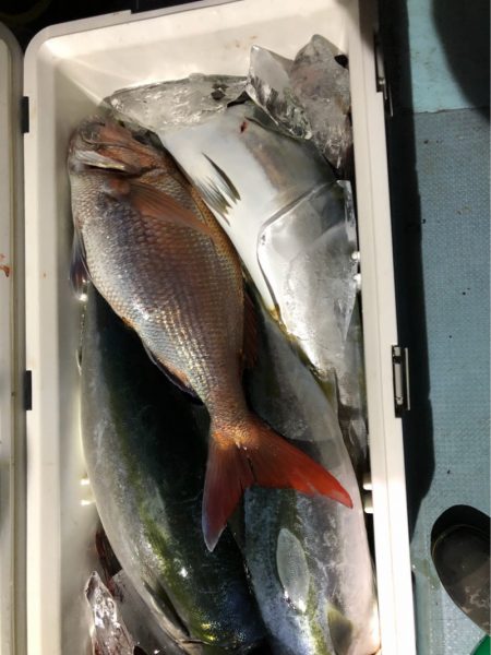 あみや渡船 JIGBOY 釣果