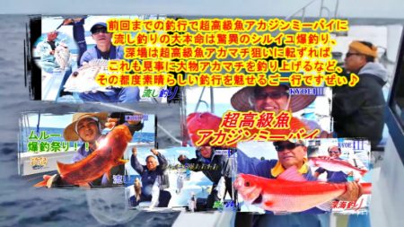 ＫＹＯＥＩⅢ 釣果