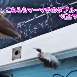 ＫＹＯＥＩⅢ 釣果