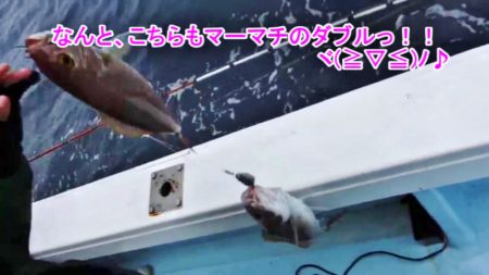 ＫＹＯＥＩⅢ 釣果