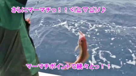 ＫＹＯＥＩⅢ 釣果