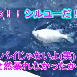 ＫＹＯＥＩⅢ 釣果