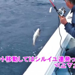 ＫＹＯＥＩⅢ 釣果