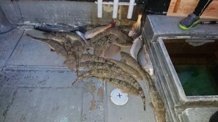 FISHING RISKY 釣果