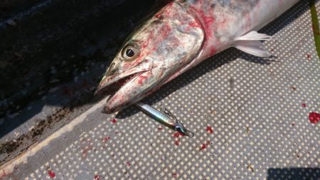 FISHING RISKY 釣果