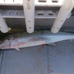 FISHING RISKY 釣果