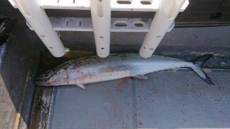 FISHING RISKY 釣果