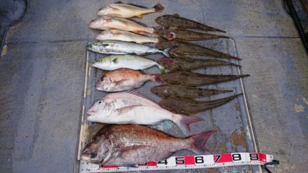 FISHING RISKY 釣果