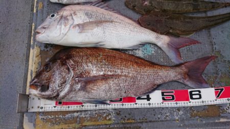 FISHING RISKY 釣果